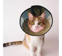 Custom Pet cones - Unique Design Cat & Dog Cone, Collar for Post-Surgery Recovery, Adjustable Neck Mysterious Lion Gate S
