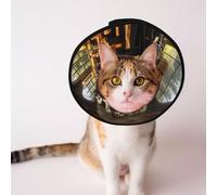 Custom Pet cones - Unique Design Cat & Dog Cone, Collar for Post-Surgery Recovery, Adjustable Neck Mystery Train L