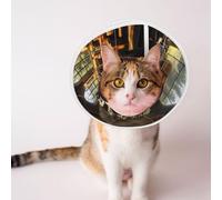 Custom Pet Cones - Unique Design Cat & Dog Cone, Collar for Post-Surgery Recovery, Adjustable Neck Mystery Train Medium