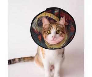 Custom Pet cones - Unique Design Cat & Dog Cone, Collar for Post-Surgery Recovery, Adjustable Neck Mystical Dragon Quilt L