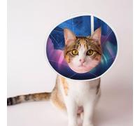 Custom Pet Cones - Unique Design Cat & Dog Cone, Collar for Post-Surgery Recovery, Adjustable Neck Northern Lights in The Andes Mountains Large
