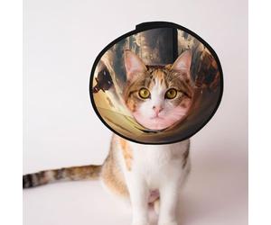 Custom Pet cones - Unique Design Cat & Dog Cone, Collar for Post-Surgery Recovery, Adjustable Neck Penguin Stormy Sea L