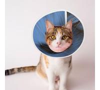 Custom Pet Cones - Unique Design Cat & Dog Cone, Collar for Post-Surgery Recovery, Adjustable Neck Photo of The Red Kite Bird Small