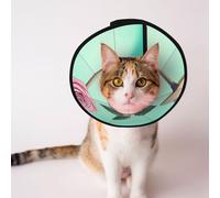 Custom Pet cones - Unique Design Cat & Dog Cone, Collar for Post-Surgery Recovery, Adjustable Neck Pink roses by the bench S