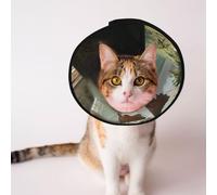 Custom Pet cones - Unique Design Cat & Dog Cone, Collar for Post-Surgery Recovery, Adjustable Neck Pirate ship under the sunshine S