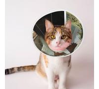 Custom Pet Cones - Unique Design Cat & Dog Cone, Collar for Post-Surgery Recovery, Adjustable Neck Pirate Ship Under The Sunshine Small