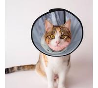 Custom Pet cones - Unique Design Cat & Dog Cone, Collar for Post-Surgery Recovery, Adjustable Neck Portrait of a Polar Bear L