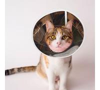 Custom Pet Cones - Unique Design Cat & Dog Cone, Collar for Post-Surgery Recovery, Adjustable Neck Portrait of an Owl Large