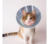 Custom Pet Cones - Unique Design Cat & Dog Cone, Collar for Post-Surgery Recovery, Adjustable Neck Portrait of a Polar Bear Large