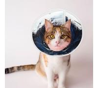 Custom Pet Cones - Unique Design Cat & Dog Cone, Collar for Post-Surgery Recovery, Adjustable Neck Portraits of Cartoon Animals Small