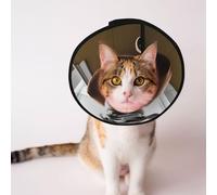 Custom Pet cones - Unique Design Cat & Dog Cone, Collar for Post-Surgery Recovery, Adjustable Neck Portrait of a Camel L