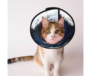 Custom Pet cones - Unique Design Cat & Dog Cone, Collar for Post-Surgery Recovery, Adjustable Neck Portraits of cartoon animals L