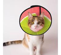 Custom Pet cones - Unique Design Cat & Dog Cone, Collar for Post-Surgery Recovery, Adjustable Neck Psychedelic frog L