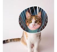 Custom Pet Cones - Unique Design Cat & Dog Cone, Collar for Post-Surgery Recovery, Adjustable Neck Quantum Wave photoplethysmography Medium