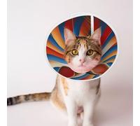 Custom Pet Cones - Unique Design Cat & Dog Cone, Collar for Post-Surgery Recovery, Adjustable Neck Rabbit Punk Small