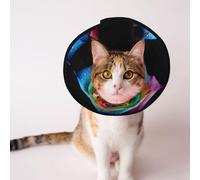 Custom Pet cones - Unique Design Cat & Dog Cone, Collar for Post-Surgery Recovery, Adjustable Neck Rainbow Rose Dew L