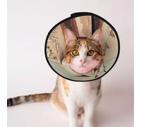 Custom Pet cones - Unique Design Cat & Dog Cone, Collar for Post-Surgery Recovery, Adjustable Neck Running White Horse M