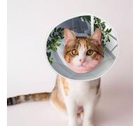 Custom Pet Cones - Unique Design Cat & Dog Cone, Collar for Post-Surgery Recovery, Adjustable Neck Sad Walrus Medium