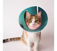 Custom Pet Cones - Unique Design Cat & Dog Cone, Collar for Post-Surgery Recovery, Adjustable Neck sea Turtle Medium