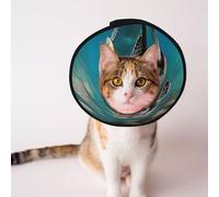 Custom Pet cones - Unique Design Cat & Dog Cone, Collar for Post-Surgery Recovery, Adjustable Neck Sea Turtles Swim L