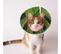 Custom Pet Cones - Unique Design Cat & Dog Cone, Collar for Post-Surgery Recovery, Adjustable Neck Secret Temple Overgrown with Weeds Large