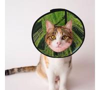 Custom Pet cones - Unique Design Cat & Dog Cone, Collar for Post-Surgery Recovery, Adjustable Neck Secret temple overgrown with weeds L