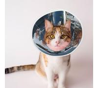 Custom Pet Cones - Unique Design Cat & Dog Cone, Collar for Post-Surgery Recovery, Adjustable Neck Sharks, Outside of The 'Magic School' Medium