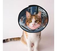 Custom Pet cones - Unique Design Cat & Dog Cone, Collar for Post-Surgery Recovery, Adjustable Neck Sharks, outside of the 'magic school' L