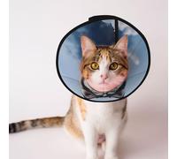 Custom Pet cones - Unique Design Cat & Dog Cone, Collar for Post-Surgery Recovery, Adjustable Neck Snowy Husky M