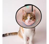 Custom Pet cones - Unique Design Cat & Dog Cone, Collar for Post-Surgery Recovery, Adjustable Neck Spotty Mushroom Scene L