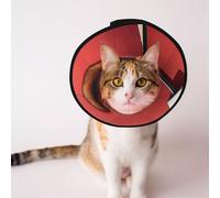 Custom Pet cones - Unique Design Cat & Dog Cone, Collar for Post-Surgery Recovery, Adjustable Neck Squirrels under the Red City Wall L