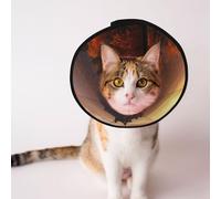 Custom Pet cones - Unique Design Cat & Dog Cone, Collar for Post-Surgery Recovery, Adjustable Neck Standing near the castle M