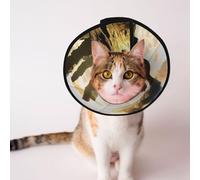 Custom Pet cones - Unique Design Cat & Dog Cone, Collar for Post-Surgery Recovery, Adjustable Neck Steam train L