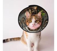Custom Pet cones - Unique Design Cat & Dog Cone, Collar for Post-Surgery Recovery, Adjustable Neck Steampunk style 3D rendering L