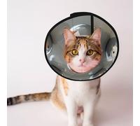 Custom Pet cones - Unique Design Cat & Dog Cone, Collar for Post-Surgery Recovery, Adjustable Neck strange animal M