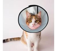 Custom Pet cones - Unique Design Cat & Dog Cone, Collar for Post-Surgery Recovery, Adjustable Neck Strange animals in the sand dunes M