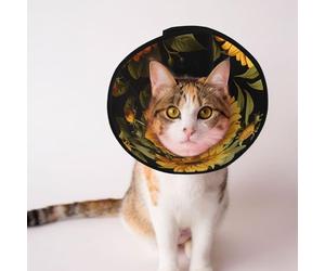 Custom Pet cones - Unique Design Cat & Dog Cone, Collar for Post-Surgery Recovery, Adjustable Neck Sunflower Trio Bloom M