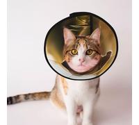 Custom Pet cones - Unique Design Cat & Dog Cone, Collar for Post-Surgery Recovery, Adjustable Neck The dog standing on the grass under the sunset M