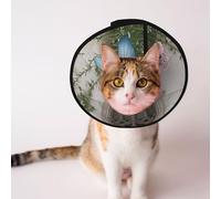 Custom Pet cones - Unique Design Cat & Dog Cone, Collar for Post-Surgery Recovery, Adjustable Neck The Door of Dreams L