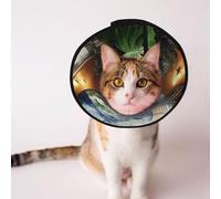 Custom Pet cones - Unique Design Cat & Dog Cone, Collar for Post-Surgery Recovery, Adjustable Neck The Earth on the Stairs M