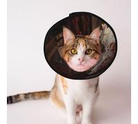 Custom Pet cones - Unique Design Cat & Dog Cone, Collar for Post-Surgery Recovery, Adjustable Neck The fire pit in the destroyed library L