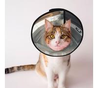 Custom Pet cones - Unique Design Cat & Dog Cone, Collar for Post-Surgery Recovery, Adjustable Neck The golden mammoth in the dilapidated city M