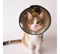 Custom Pet cones - Unique Design Cat & Dog Cone, Collar for Post-Surgery Recovery, Adjustable Neck The hamster on a date S