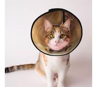 Custom Pet cones - Unique Design Cat & Dog Cone, Collar for Post-Surgery Recovery, Adjustable Neck The little dog standing on the grass under the sunset S
