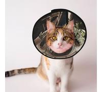 Custom Pet cones - Unique Design Cat & Dog Cone, Collar for Post-Surgery Recovery, Adjustable Neck The pool inside the palace L