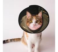 Custom Pet cones - Unique Design Cat & Dog Cone, Collar for Post-Surgery Recovery, Adjustable Neck The Pyramid of the Lost World S