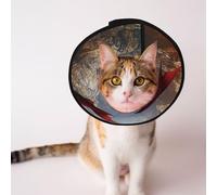 Custom Pet cones - Unique Design Cat & Dog Cone, Collar for Post-Surgery Recovery, Adjustable Neck The Red Dream World L