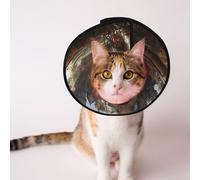 Custom Pet cones - Unique Design Cat & Dog Cone, Collar for Post-Surgery Recovery, Adjustable Neck The Temple of Flowers S
