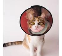 Custom Pet cones - Unique Design Cat & Dog Cone, Collar for Post-Surgery Recovery, Adjustable Neck The window leading to the sea S