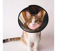 Custom Pet cones - Unique Design Cat & Dog Cone, Collar for Post-Surgery Recovery, Adjustable Neck ThunderTractorGold S